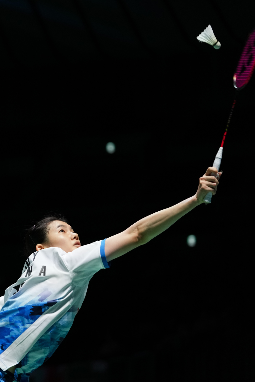 子短距离蛙 子短距离蛙